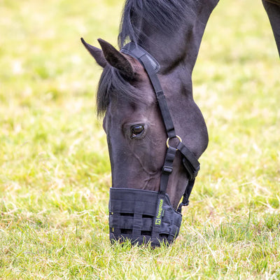 Shires FreeGraze Comfort Grazing Muzzle