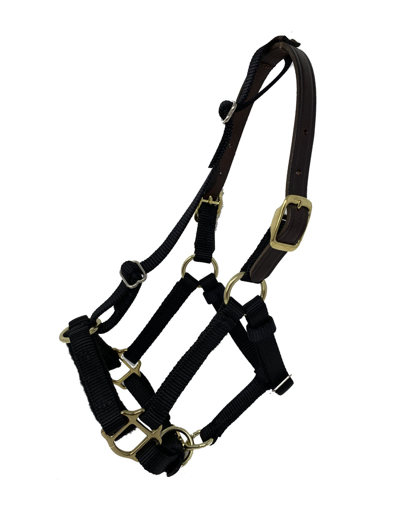 GreenGuard Mini and Small Pony Halters