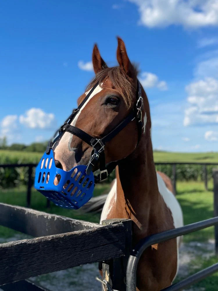 GreenGuard Grazing Muzzle