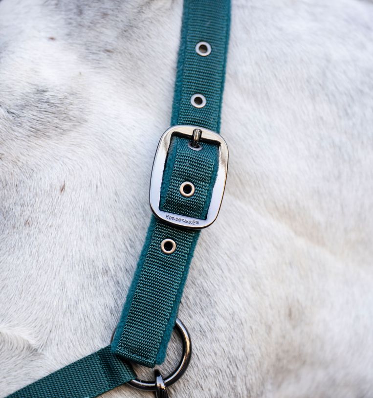 Horseware Halter & Leadrope