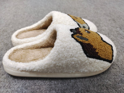 Dreamers & Schemers Slippers