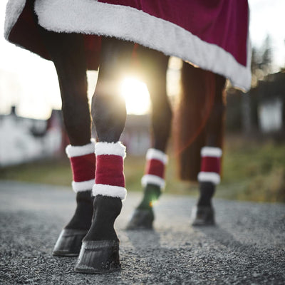 Horze Santa Leg Wraps