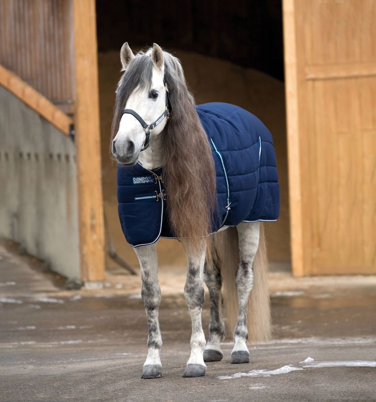 Rambo® Stable Blanket with Embossed Lining 200 gram