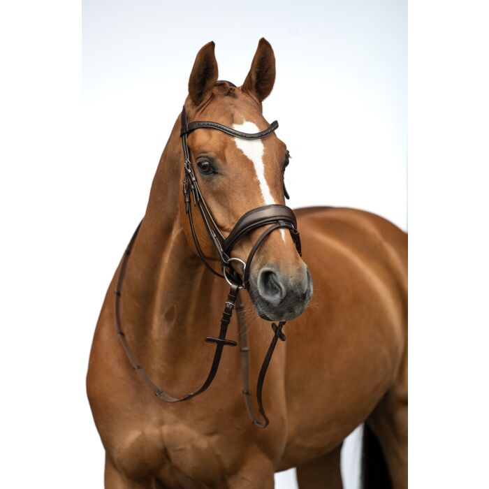 HKM Ira Flash Bridle