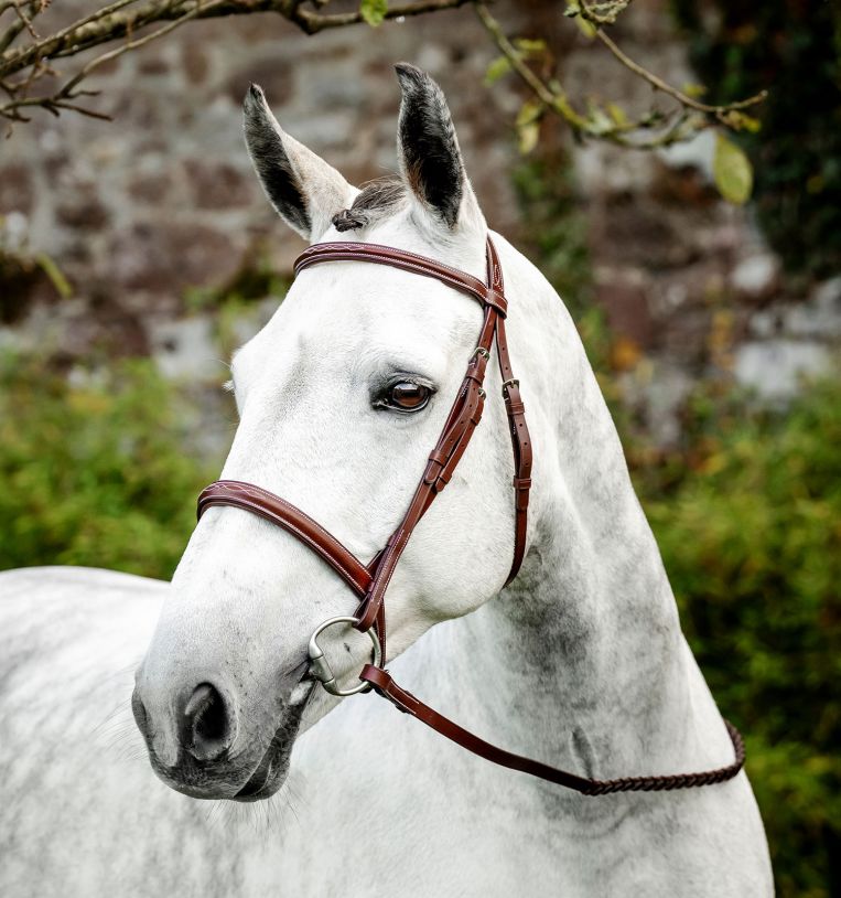 Horseware Hunter Cavesson Bridle with Reins