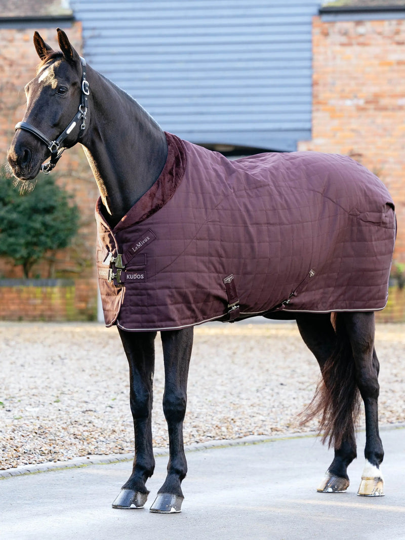 LeMieux Kudos Luxe Lined Stable Rug