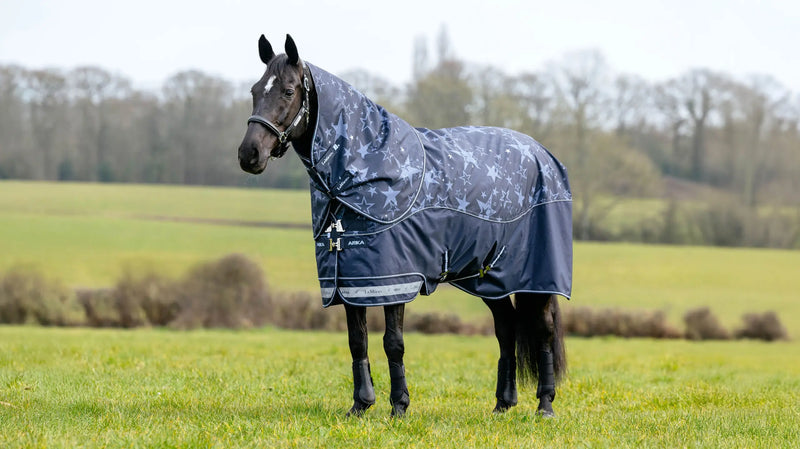 LeMieux Arika Star Turnout Rug Navy