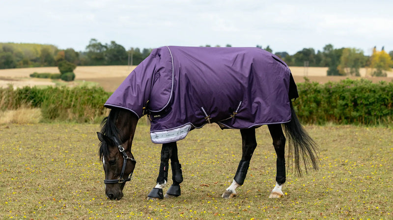 Lemieux Arika Ripstop 200g Turnout Rug