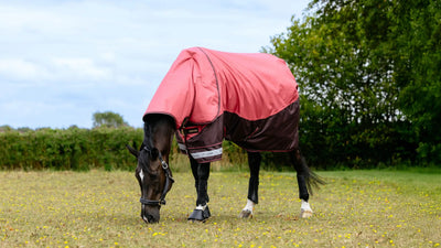 Lemieux Arika Ripstop 200g Turnout Rug