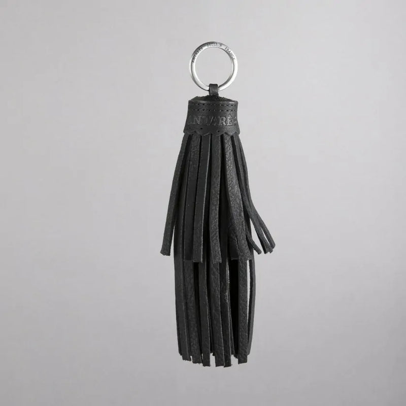 Antares Key Ring