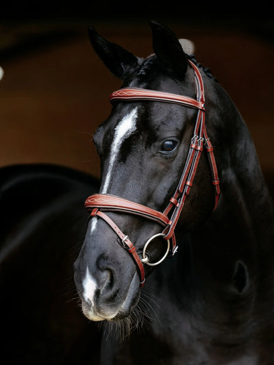 LeMieux Kudos Competition Flash Bridle