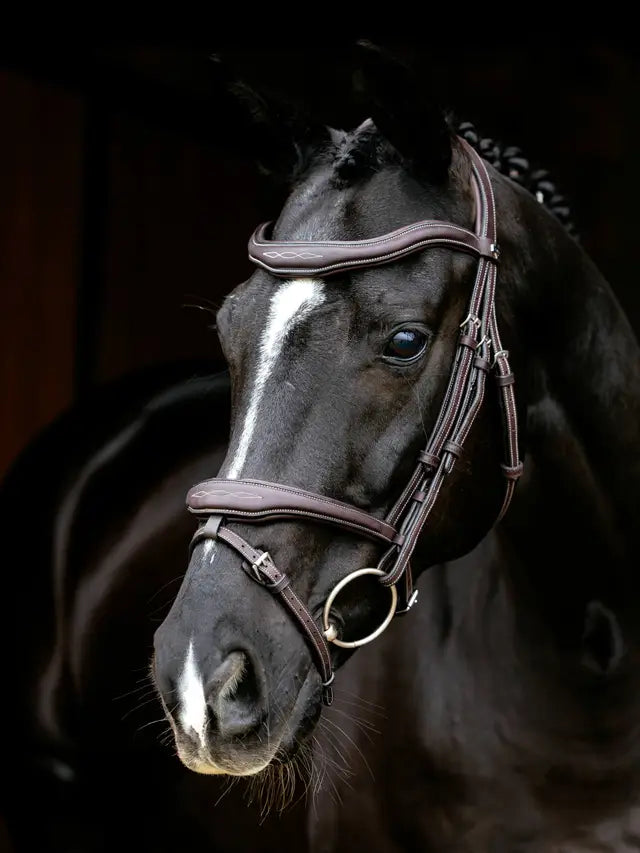LeMieux Kudos Contour Flash Bridle