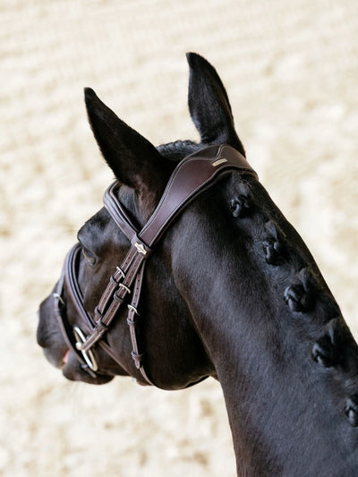 LeMieux Kudos Contour Flash Bridle