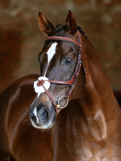 LeMieux Kudos Grackle Bridle