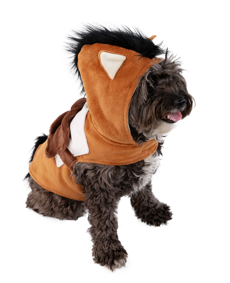 Lazy One Dog Costume FW24