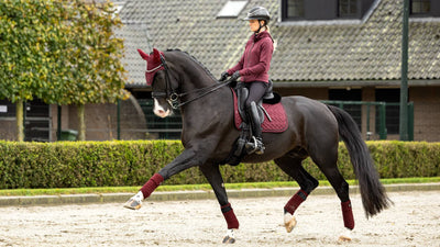 LeMieux  Crystal Suede Dressage Pad