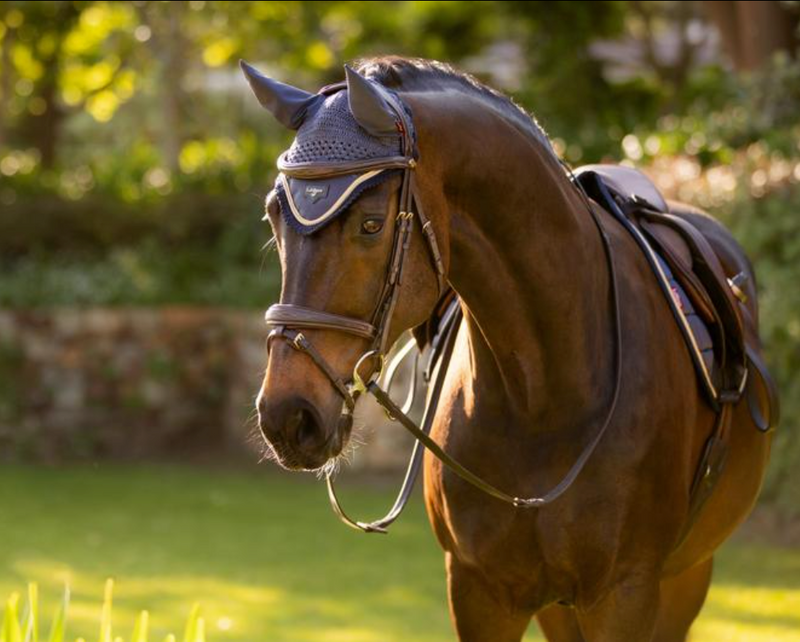 LeMieux Loire Satin Fly Bonnet SS25