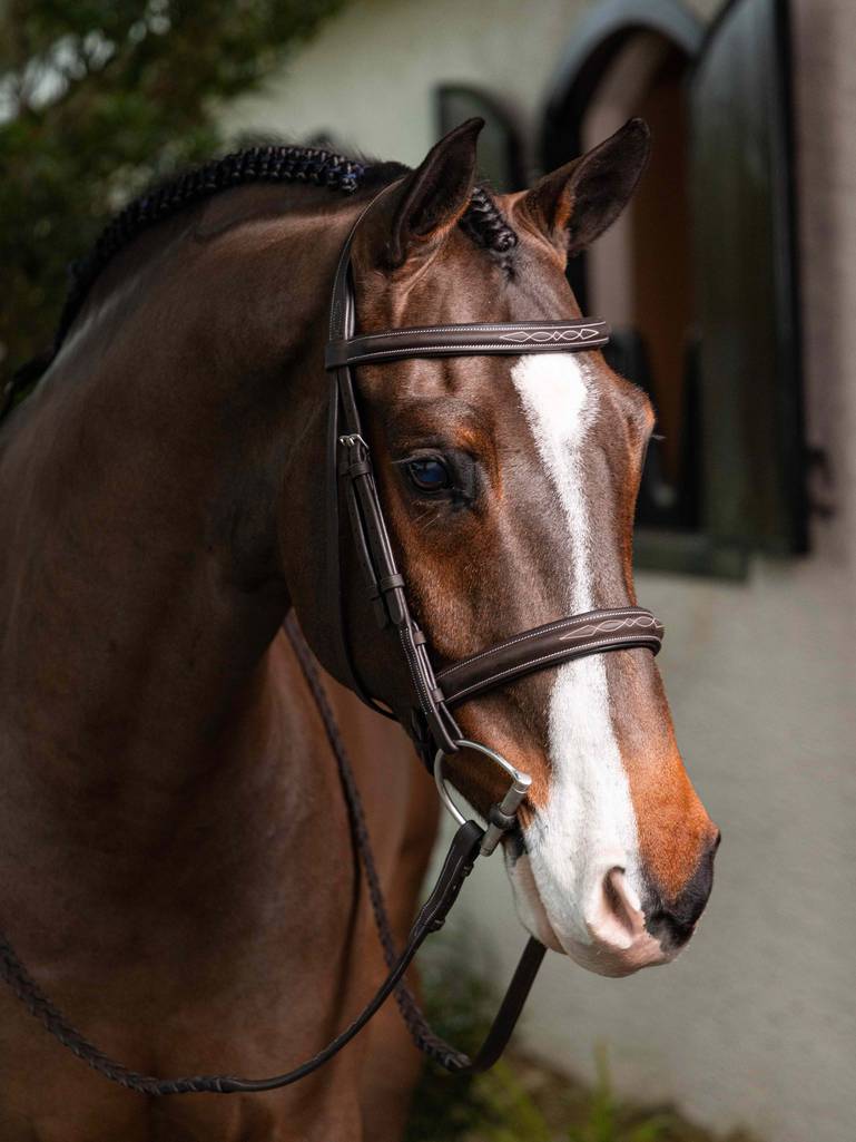 LeMieux Stitched Hunter Bridle w/Laced Reins