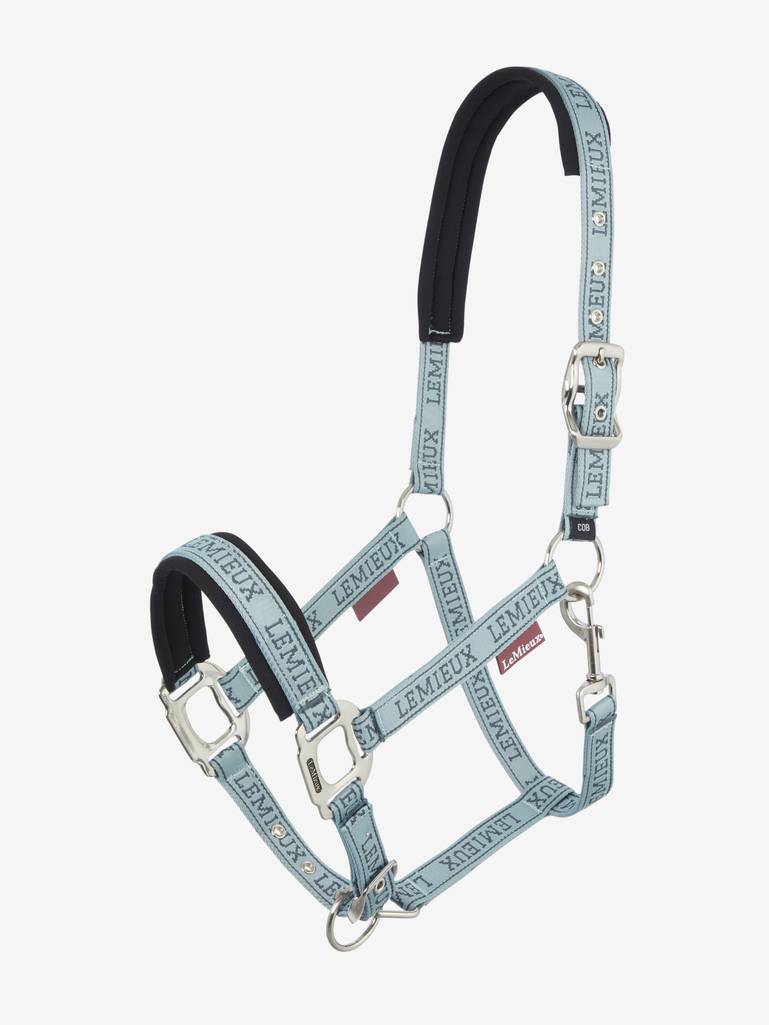 LeMieux Logo Halter FW24