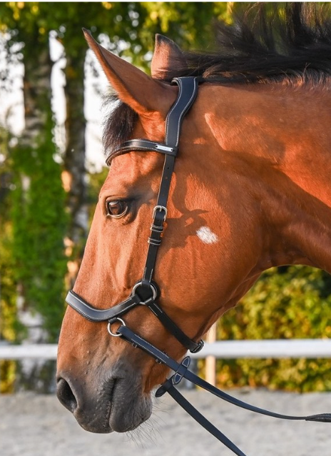 Jump-in Liberty Bitless Bridle