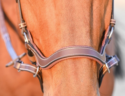 Jump'In Liberty Bitless Bridle