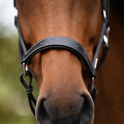 Jumpin Fancy Halter - Collection One