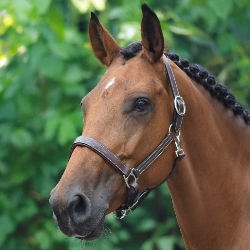 Jumpin Fancy Halter - Collection One