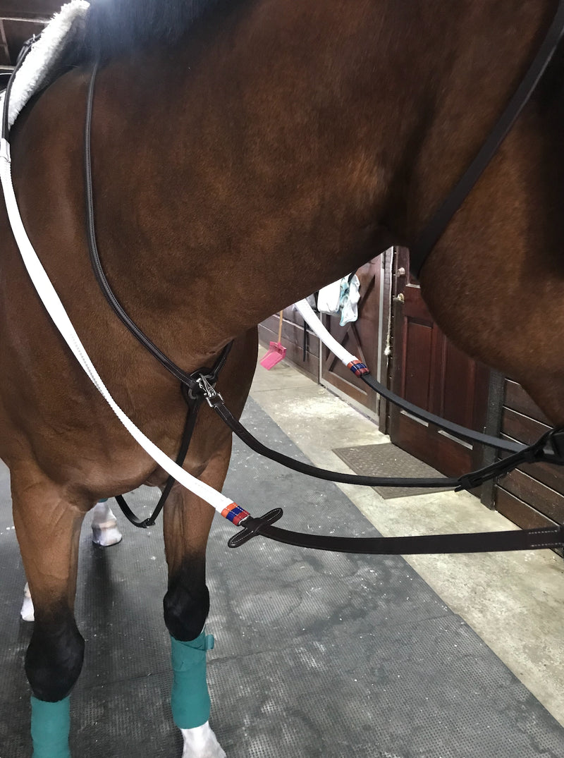 Dziasport Standing Martingale Attachment