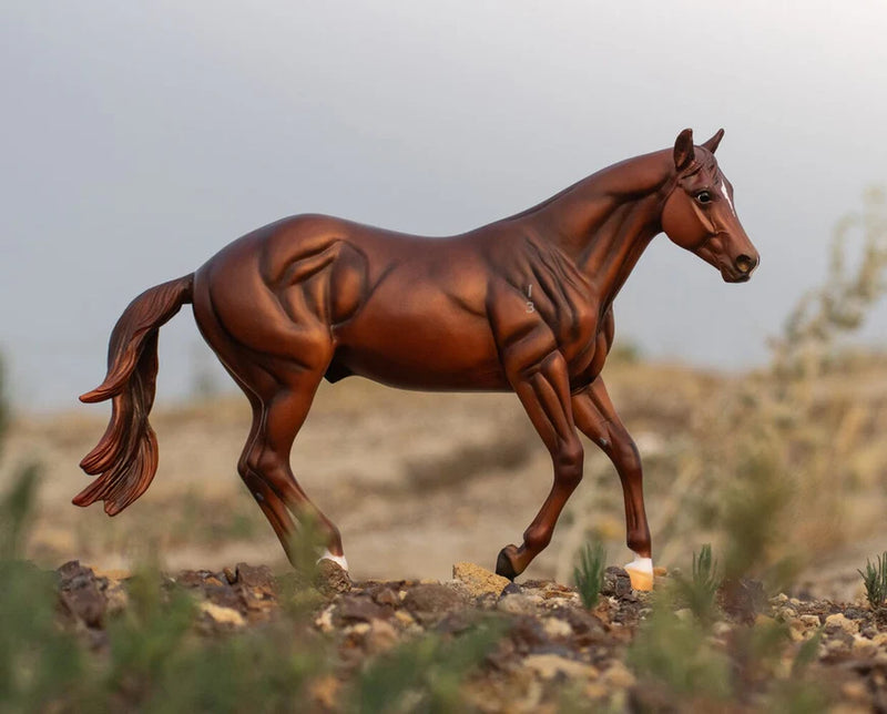 Breyer Guy McLean&