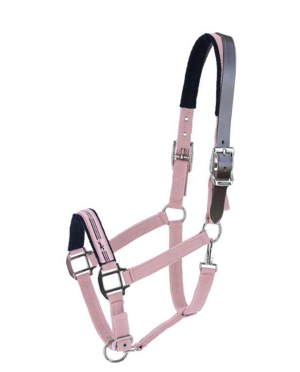 Schockëmohle Memphis Breakaway Halter