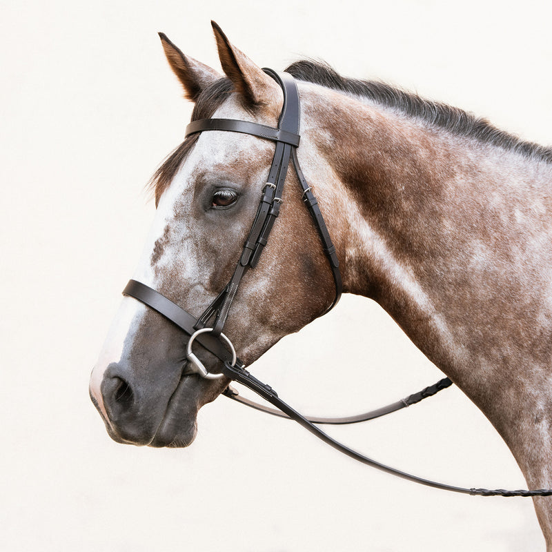 Nunn Finer Moreland Fox Hunting Bridle