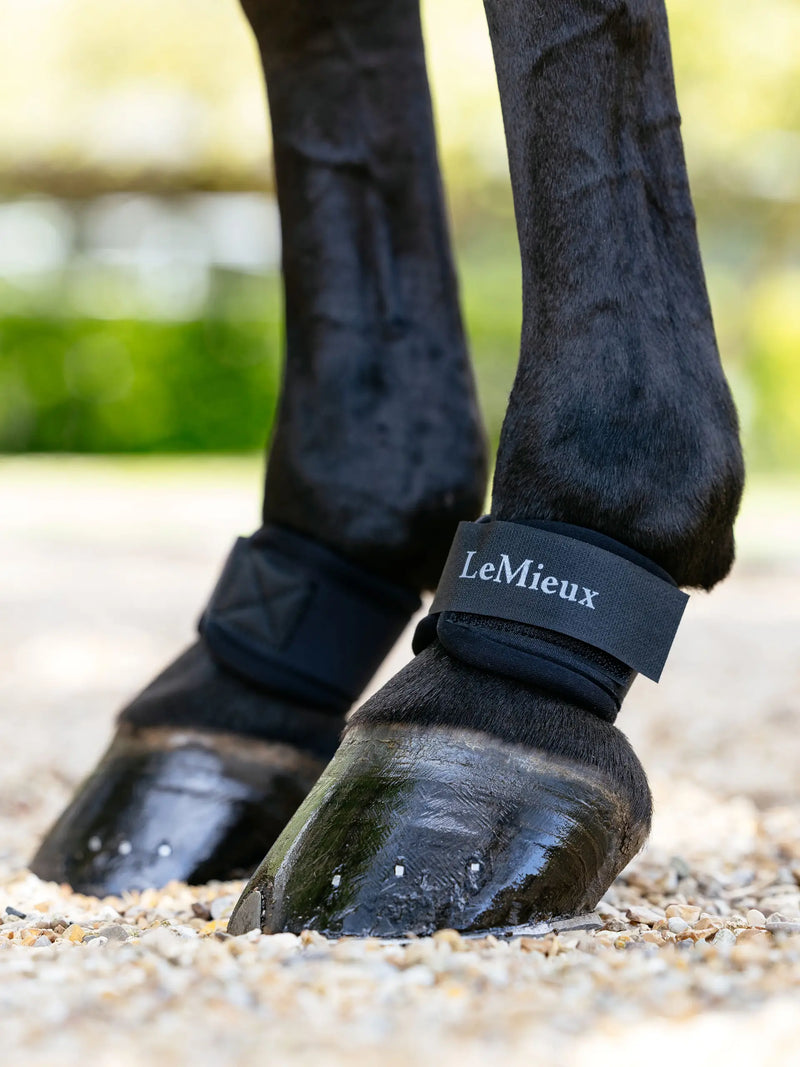 LeMieux Neoprene Pastern Wrap