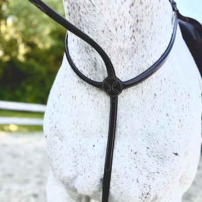 Red Barn No Donut Standing Fancy Stitch Martingale