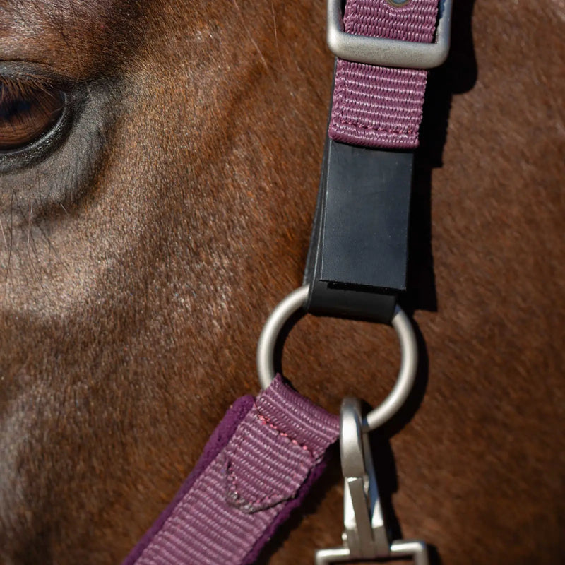Equinavia Saga Fleece Padded Breakaway Halter