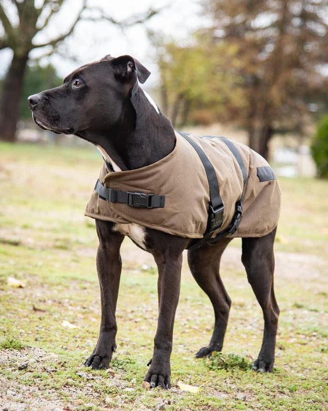 Outback Clancy Oilskin Dog Coat