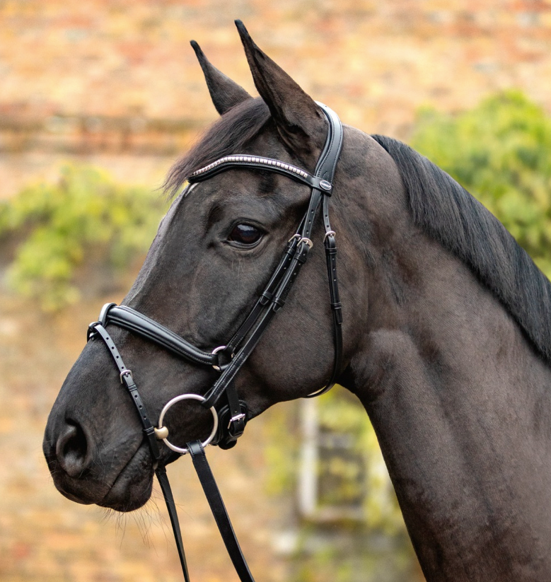 Passier Balance Jumping Bridle