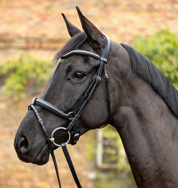 小物 FULL GRAIN BRIDLE / BYRNE 4 Leather Figure 8 Bridle w/Crystal noseband & Browband w