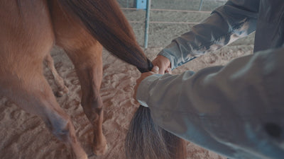 Classic Equine Tail Bag