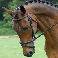 Red Barn Centerline Bridle Black/Cob