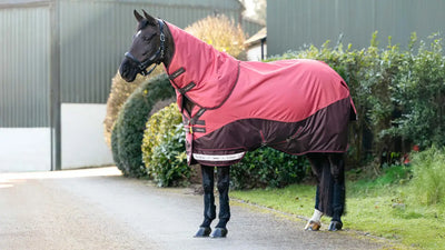 Lemieux Arika Ripstop 0g Turnout Rug