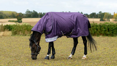 Lemieux Arika Ripstop 0g Turnout Rug