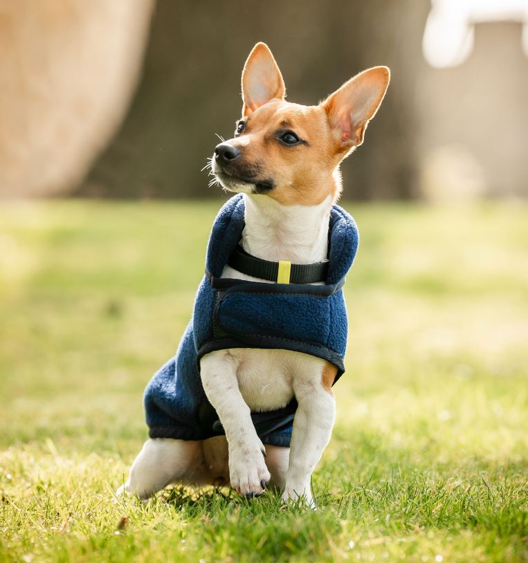 Horseware® Signature Dog Fleece (No Fill)