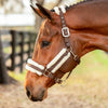 Equinavia Valkyrie Ultra Fleece Breakaway Halter