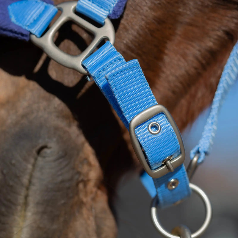 Equinavia Saga Fleece Padded Breakaway Halter