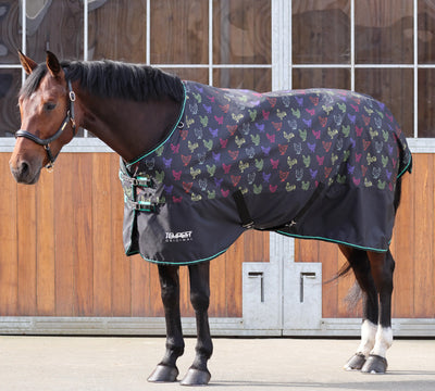 Shires Tempest Original Lite Turnout