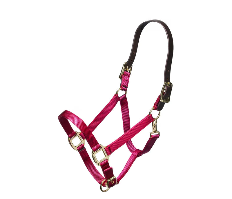 Shires Nylon Halter with Leather Crown