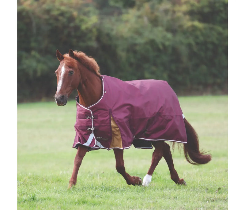 Shires Highlander Plus 100g Standard Neck Turnout Blanket