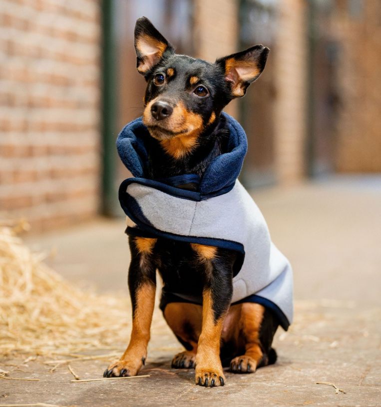 Horseware® Signature Dog Fleece (No Fill)