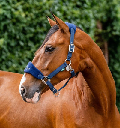 Horseware Signature Grooming Halter