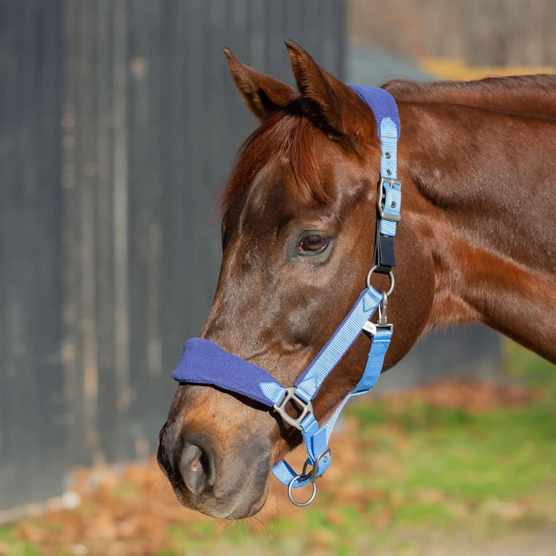 Equinavia Saga Fleece Padded Breakaway Halter
